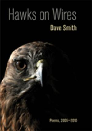 Book cover of Hawks on Wires