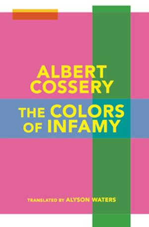 Book cover of The Colors of Infamy