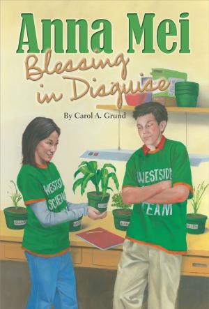 Cover of the book Anna Mei, Blessing in Disguise by Lillia M. Fisher, Barbara Kiwak