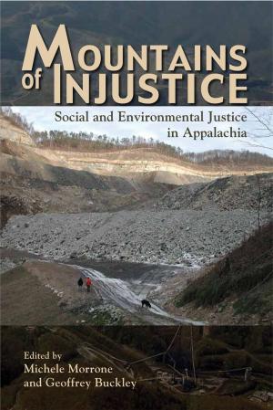 Book cover of Mountains of Injustice
