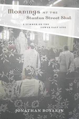 Cover of the book Mornings at the Stanton Street Shul by David J. Goodwin