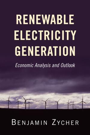 Cover of the book Renewable Electricity Generation by Juan Carlos Ortiz