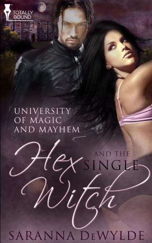 Cover of the book Hex and the Single Witch by Crissy Smith