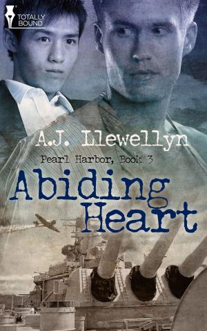 Cover of the book Abiding Heart by Cassidy Ryan
