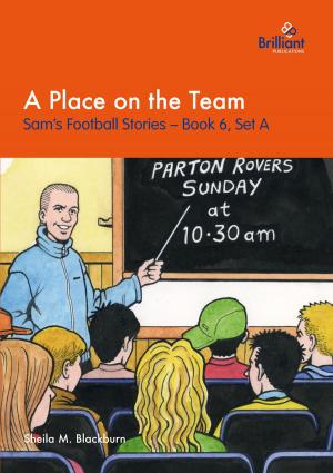 Book cover of A Place on the Team