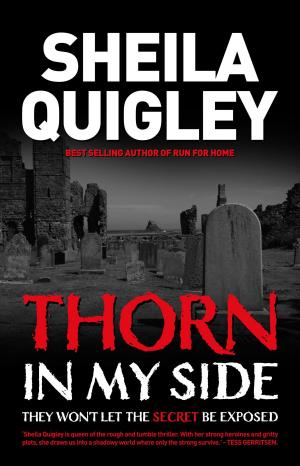 Cover of Thorn In My Side