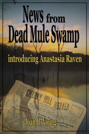 Book cover of News from Dead Mule Swamp