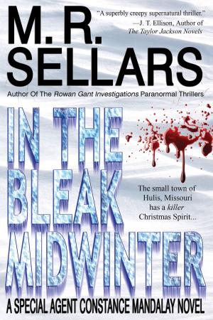 Cover of In The Bleak Midwinter: A Special Agent Constance Mandalay Novel