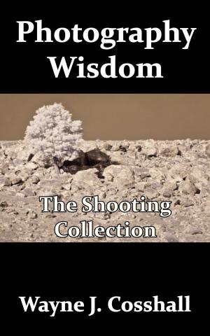 bigCover of the book Photography Wisdom: The Shooting Collection by 