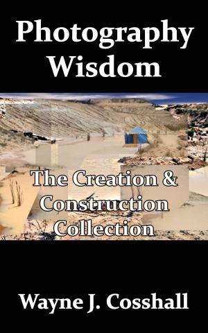 Cover of the book Photography Wisdom: The Creation & Construction Collection by Margaret Brown