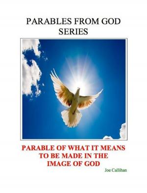 Cover of the book Parables From God Series: Parable of What It Means to Be Made In The Image of God by S.l. Macgregor Mathers