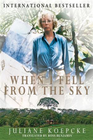 Cover of the book When I Fell From the Sky by Jill Wellington, Audrey Edmunds