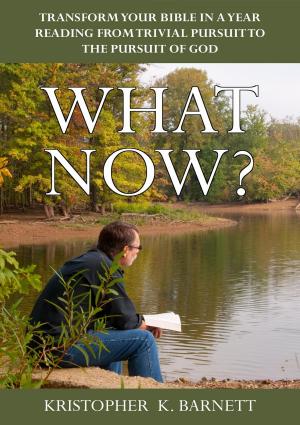 Book cover of What Now?