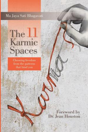 Book cover of The 11 Karmic Spaces