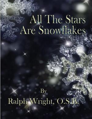 Book cover of All The Stars Are Snowflakes