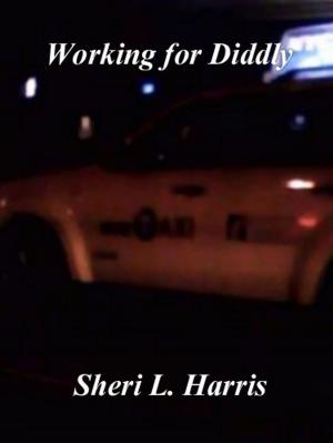 bigCover of the book Working For Diddly by 