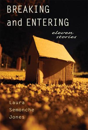 Book cover of Breaking and Entering