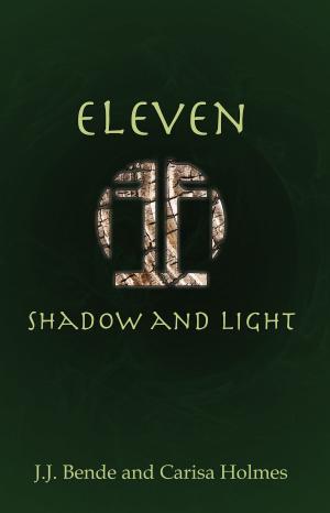 Book cover of Eleven: Shadow and Light