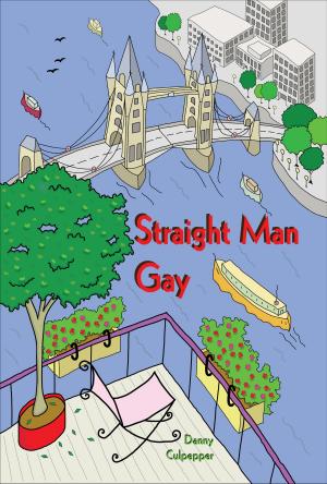 Book cover of Straight Man Gay