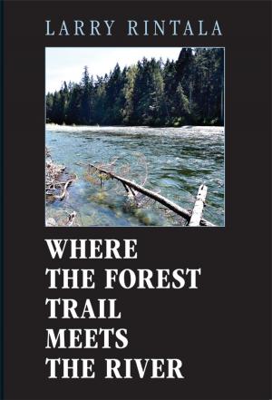 Cover of the book Where The Forest Trail Meets The River by Marieluise von Ingenheim