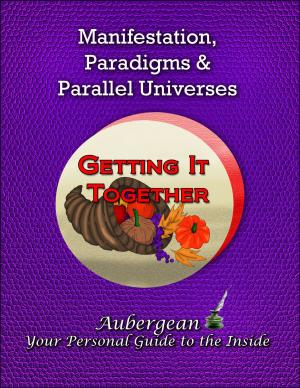 Cover of Manifestation, Paradigms and Parallel Universes
