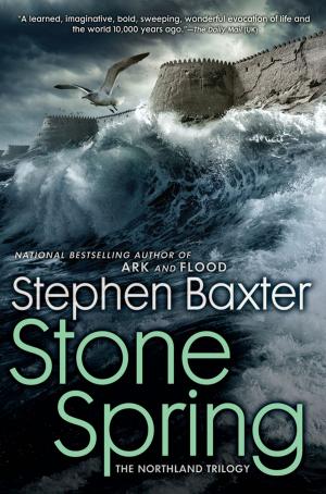 bigCover of the book Stone Spring by 