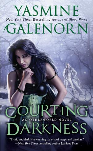Cover of the book Courting Darkness by Rudy Rucker