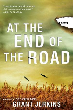 Cover of the book At the End of the Road by Lucy Ferriss
