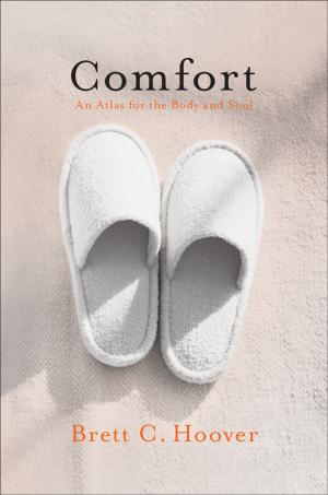Cover of the book Comfort by 