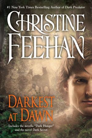 Cover of the book Darkest at Dawn by Robin Wells