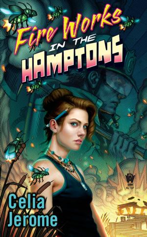 Cover of the book Fire Works in the Hamptons by Barbara Campbell