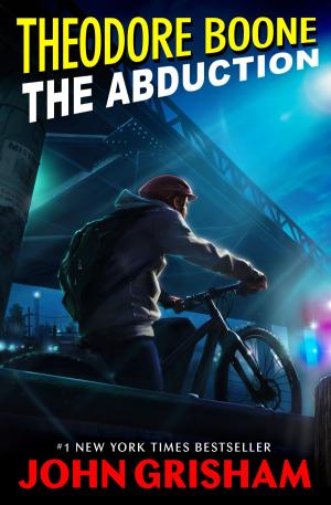 Cover of the book Theodore Boone: The Abduction by AJ Stern