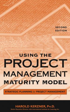 Cover of the book Using the Project Management Maturity Model by Alan M. Greaves