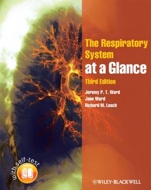 Cover of the book The Respiratory System at a Glance by Filippo Stefanini, Silvio Vismara, Michele Meoli, Tommaso Derossi