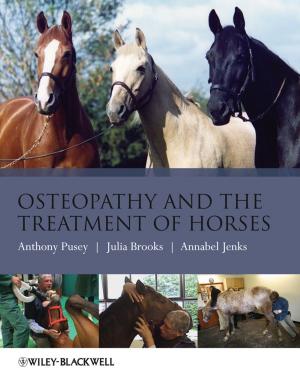 Cover of the book Osteopathy and the Treatment of Horses by Joy Browne