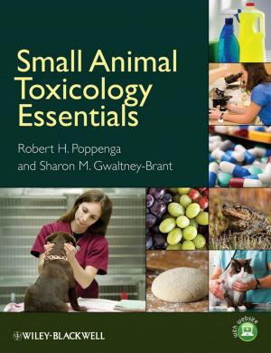 Cover of the book Small Animal Toxicology Essentials by Paulo Fernando Ribeiro, Carlos Augusto Duque, Augusto Santiago Cerqueira, Paulo Márcio Ribeiro