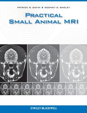Cover of the book Practical Small Animal MRI by Ross L. Stein