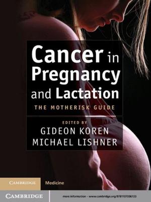Cover of the book Cancer in Pregnancy and Lactation by Mauro F. Guillén, Emilio Ontiveros