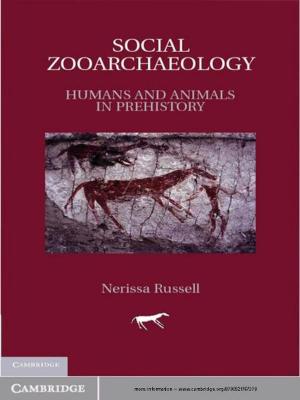 Cover of the book Social Zooarchaeology by Peta Spender, Kath Hall, Stephen Bottomley, Beth Nosworthy