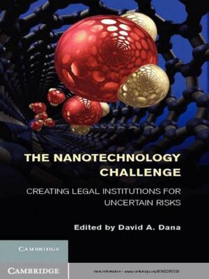 Cover of the book The Nanotechnology Challenge by Joanna L. Grisinger