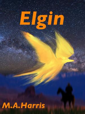 Book cover of Elgin