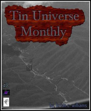 Cover of the book Tin Universe Monthly #8 by C.C. Williams