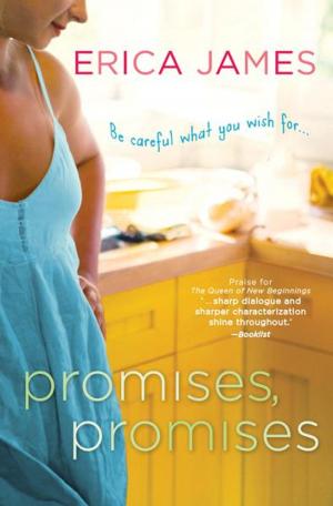 Cover of the book Promises, Promises by Michael Litos