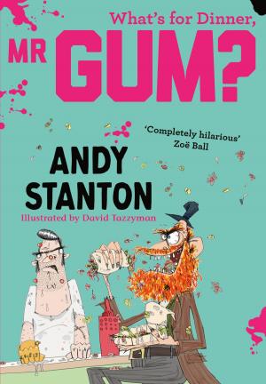 Cover of the book What's for Dinner, Mr Gum? by Andy Stanton