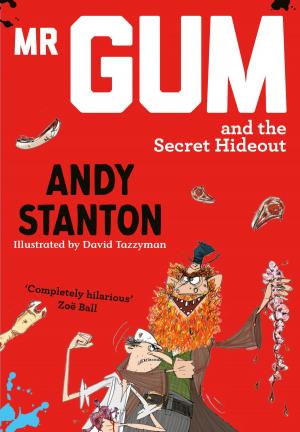 Book cover of Mr Gum and the Secret Hideout