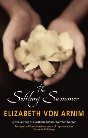 Book cover of The Solitary Summer