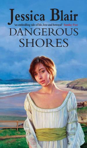 Cover of the book Dangerous Shores by Angus Donald