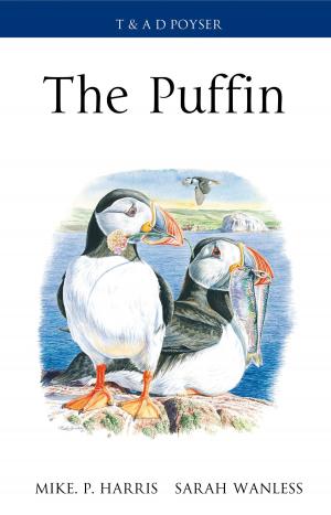 bigCover of the book The Puffin by 