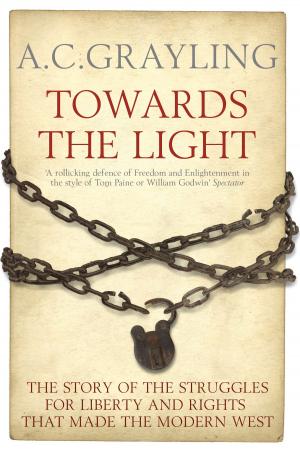 Cover of the book Towards the Light by Professor Mark Yakich
