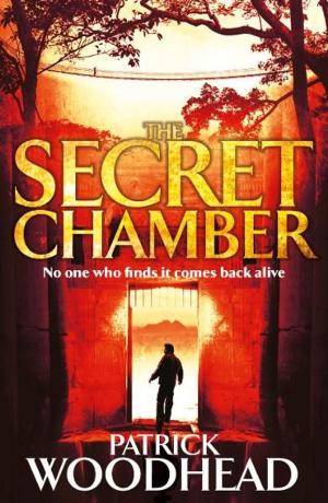 Cover of the book The Secret Chamber by Nancy Revell